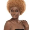 Afro Rosey II Synthetic Hair Full Wig By Janet Collection
