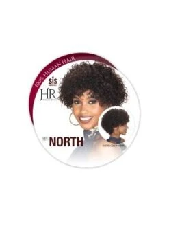 Hr-North 100 Human Hair Wig By Zury Sis -Fashion Wig Store hr north human hair full wig zury sis obw2