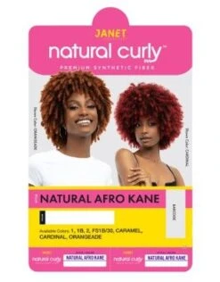 Kane Premium Synthetic Natural Afro Wig By Janet Collection -Fashion Wig Store kane premium synthetic natural afro wig janet collection obw.jpg1