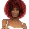 Leon Premium Synthetic Natural Afro Wig By Janet Collection -Fashion Wig Store leon premium synthetic natural afro wig janet collection obw