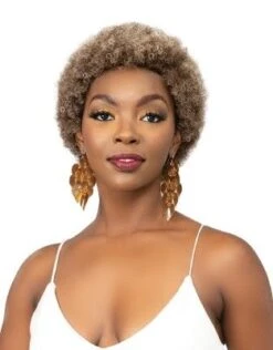 Natural AFRO ABBO Premium Synthetic Full Wig Janet Collection