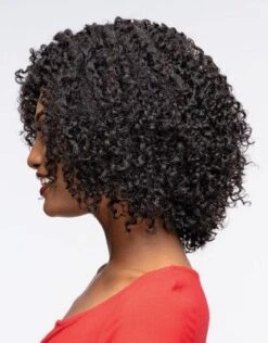 Neha Premium Synthetic Natural Afro Wig By Janet Collection -Fashion Wig Store neha premium synthetic natural afro wig janet collection obw.jpg1