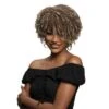 Ples Premium Synthetic Natural Afro Wig By Janet Collection -Fashion Wig Store ples premium synthetic natural afro wig janet collection obw.2